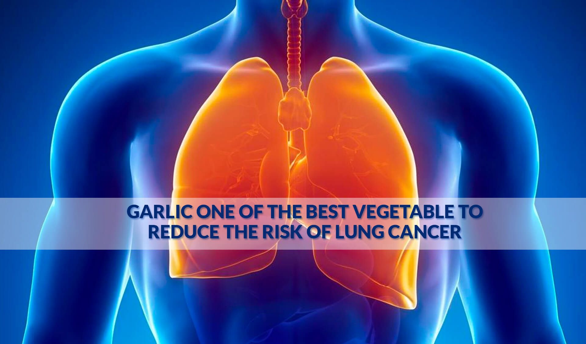 Garlic One Of The Best vegetable To Reduce The Risk Of Lung Cancer