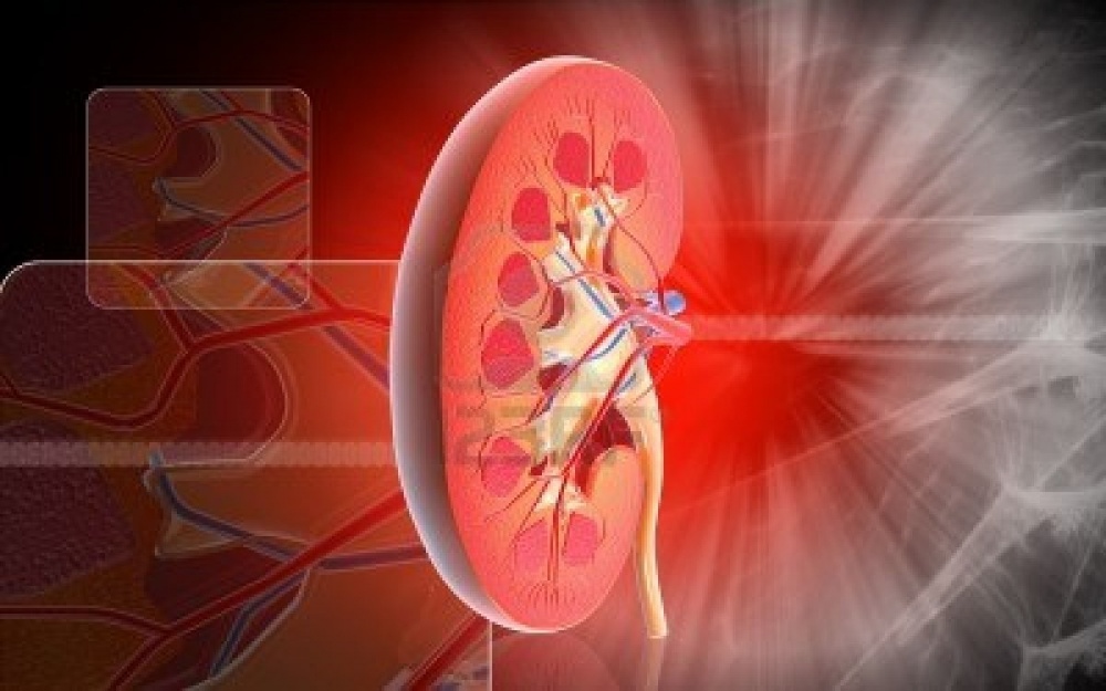 Symptoms, Causes And Treatment For Floating Kidney