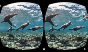 Google Introduces Its New Google Expeditions To Enjoy Virtual Reality