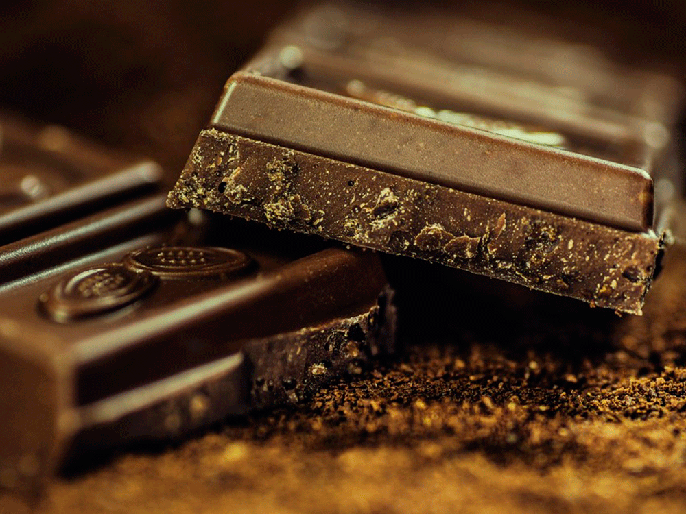 Cacaosuyo a Peruvian Chocolate Brand Won Gold Medal In International Chocolate Awards
