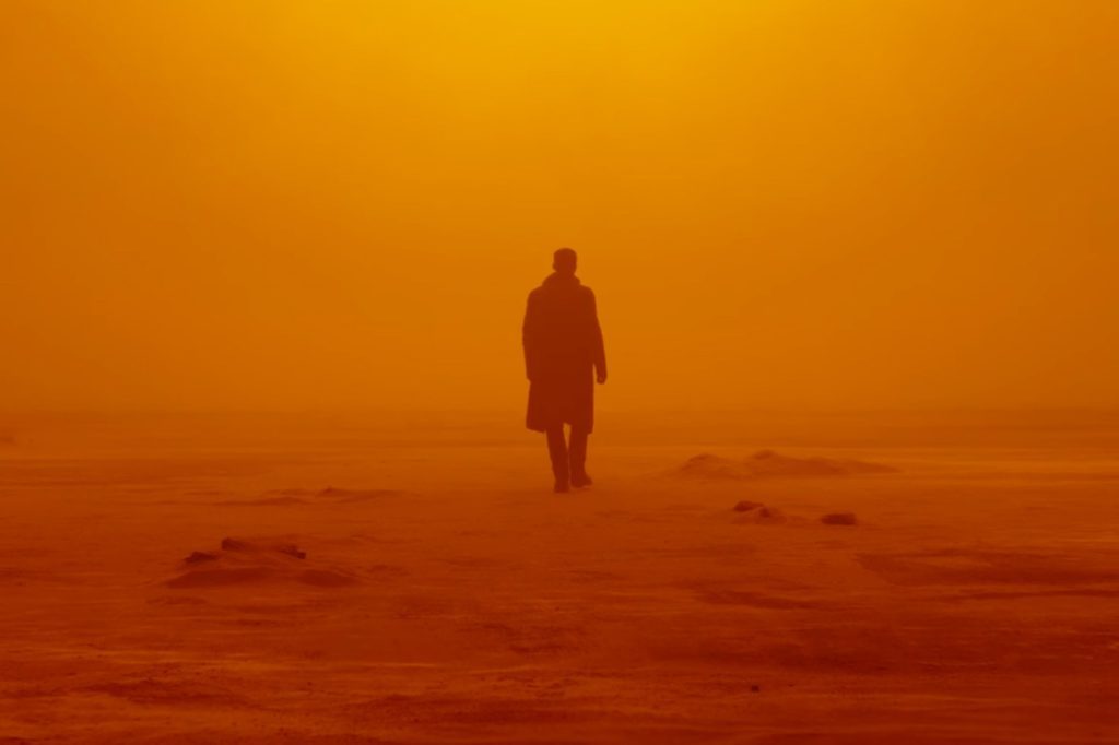 Reason For Why Roger Deakins Win The Oscar For Blade Runner 2049