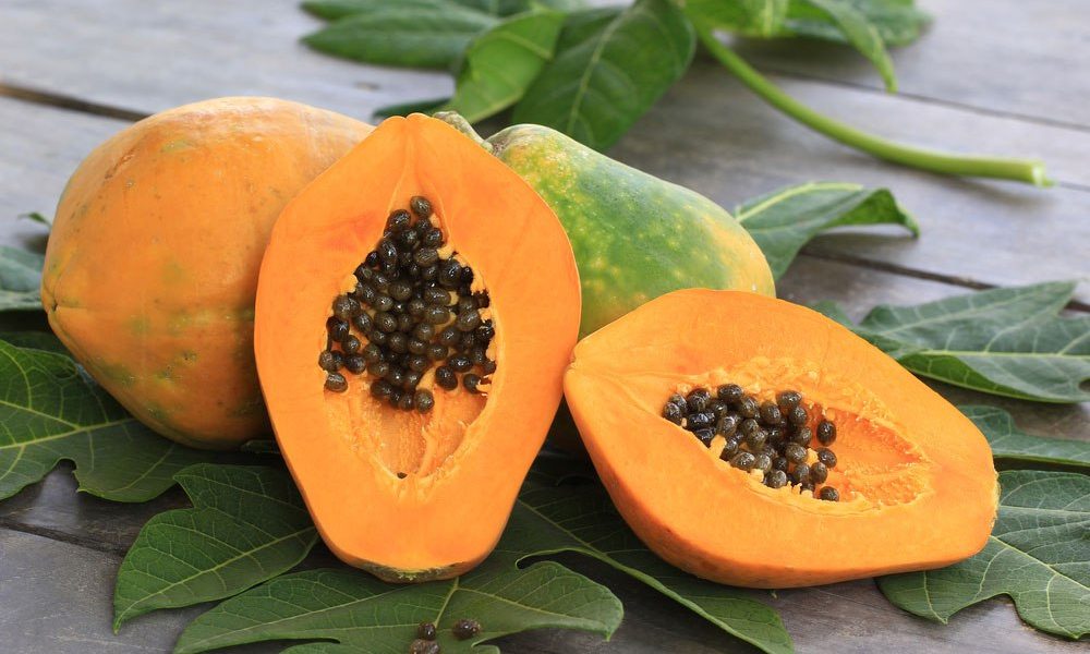 Surprising Health Benefits of Papaya Fruit ebuddynews