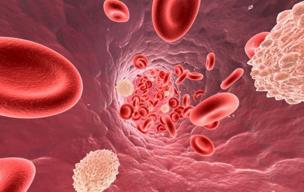 What Are The Causes, Symptoms And Treatment For Thrombocytopenia