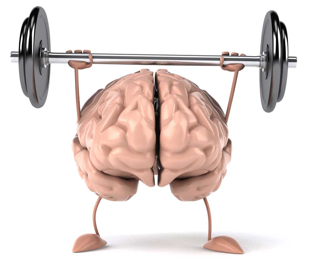 Regular Exercise Habit Improves Your Brain Healthy ebuddynews