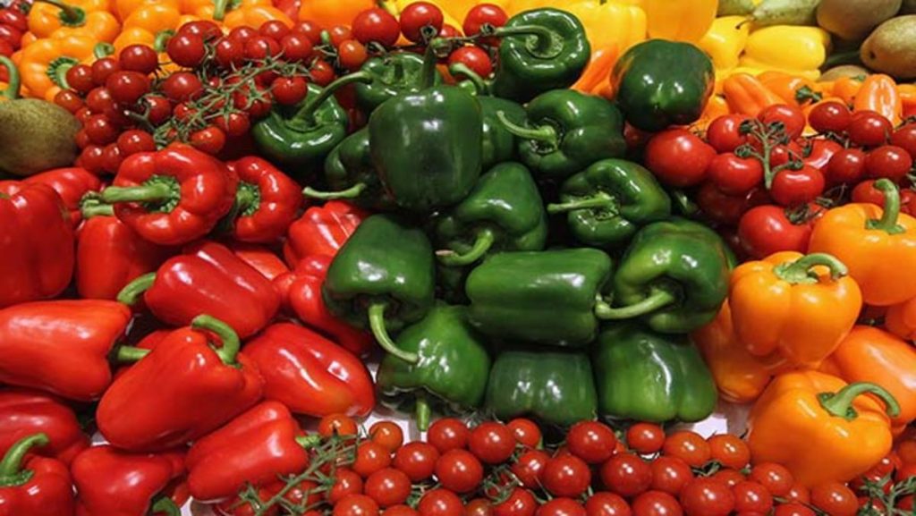 Top 10 Vegetables For a Healthy Diet ebuddynews