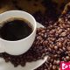 7 Healthy Facts Which Every Coffee Lovers Should Know﻿ ebuddynews