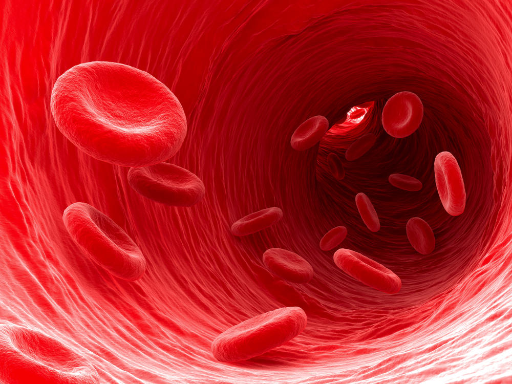 A Small Guidance For Understanding Blood Test ebuddynews