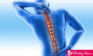 What Is Osteoporosis And Its Causes, Symptoms And Treatment ebuddynews