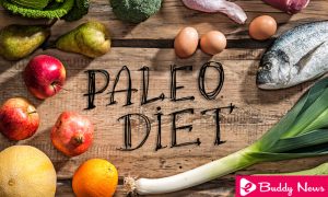 Diet Paleo or Paleo Diet - It Is Interesting As A Way Of Life ebuddynews