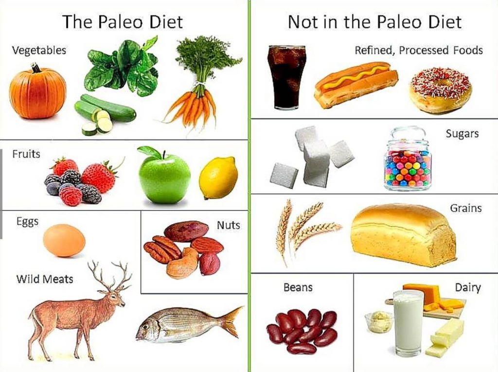 Diet Paleo or Paleo Diet - It Is Interesting As A Way Of Life ebuddynews