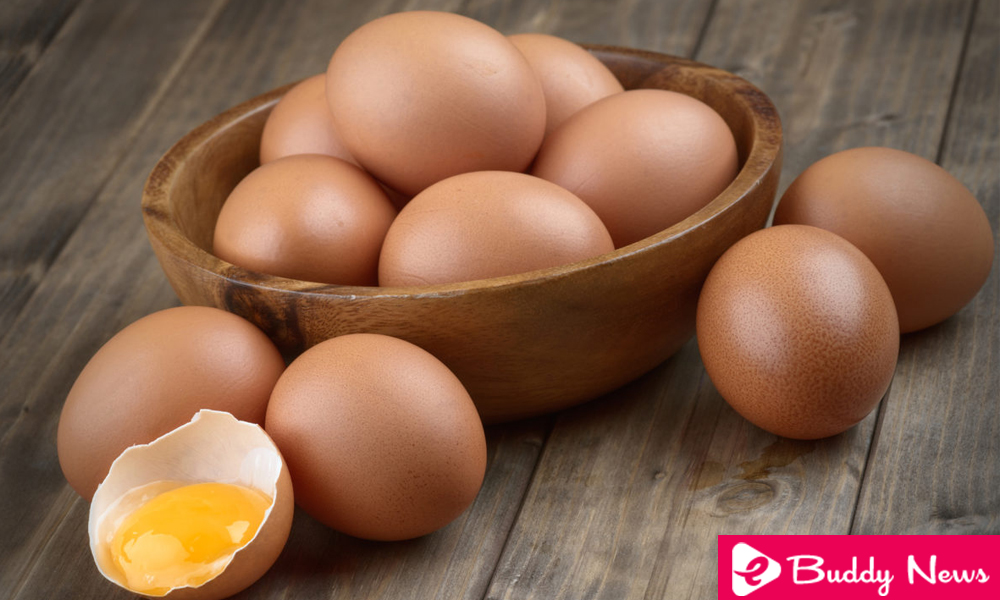 Five Reasons To Eat More Eggs ebuddynews