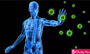 Immune System Role Against Disease ebuddynews