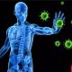Immune System Role Against Disease ebuddynews