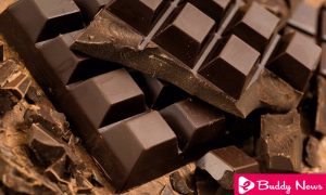Is Eating Chocolate Healthy Or Not ebuddynews