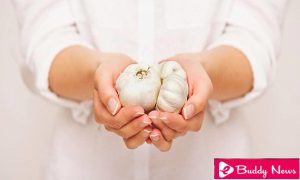 Garlic Natural Way To Boost The Immune System ebuddynews