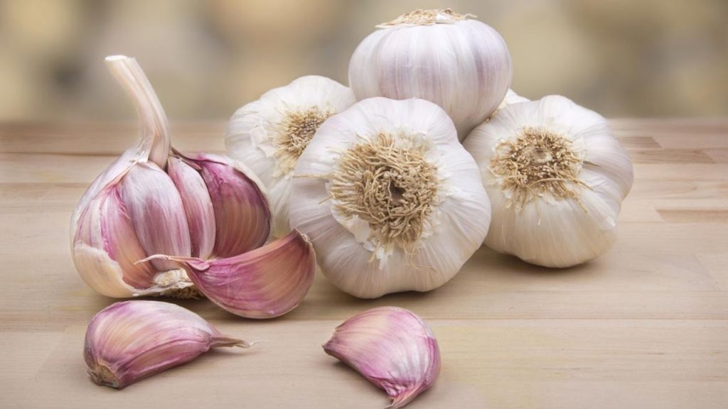 Garlic Natural Way To Boost The Immune System ebuddynews