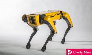 SpotMini The Robot Dog Of Boston Dynamics Will Go On Sale By 2019 ebuddynews