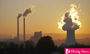 WHO Warns That 15% Of Deaths That Occur Are Due To Pollution - ebuddynews
