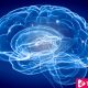 10 Tricks To Keep Your Brain Healthy - ebuddtnews