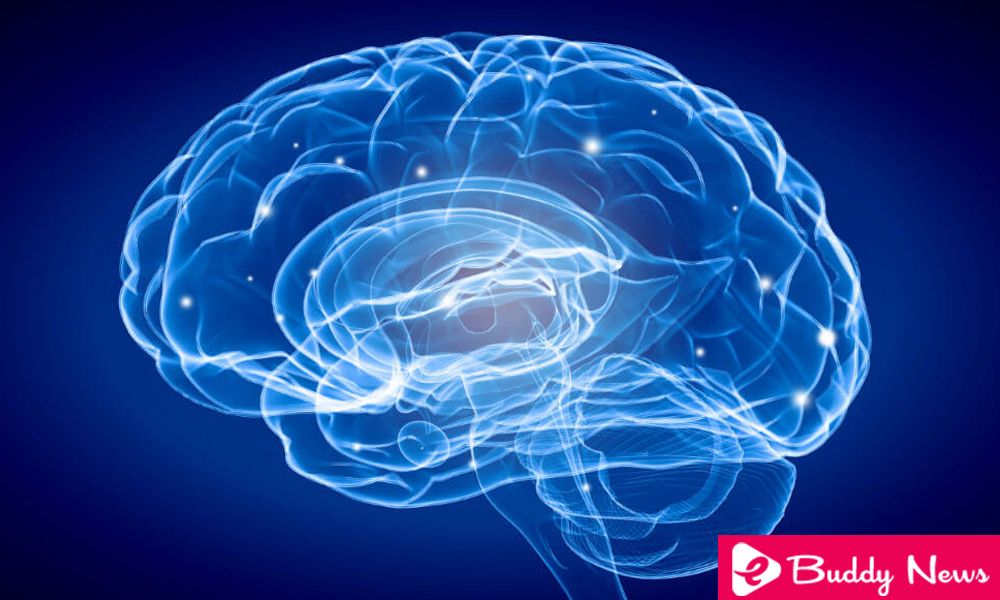 10 Tricks To Keep Your Brain Healthy - ebuddtnews