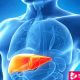 10 Amazing Tips To Cleanse The Liver Naturally - ebuddynews
