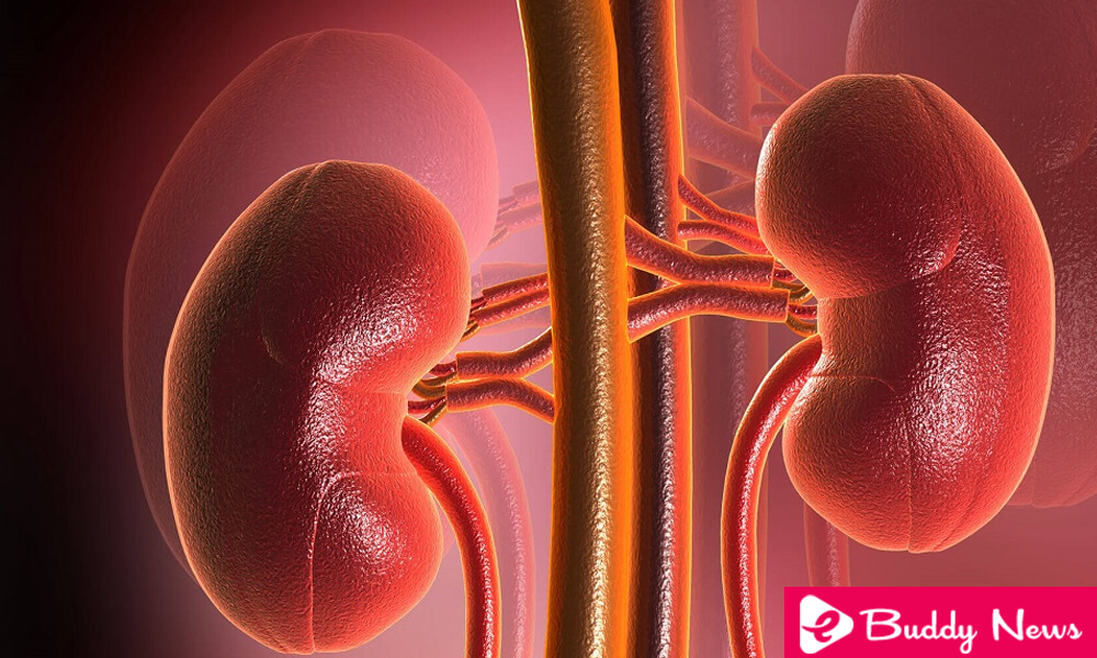 10 Most Common Habits That Damage Kidneys - ebuddynews