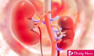 5 Best Herbal Drinks To Prevent Kidney Stones - ebuddynews