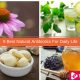 9 Best Natural Antibiotics For Daily Life - ebuddynews