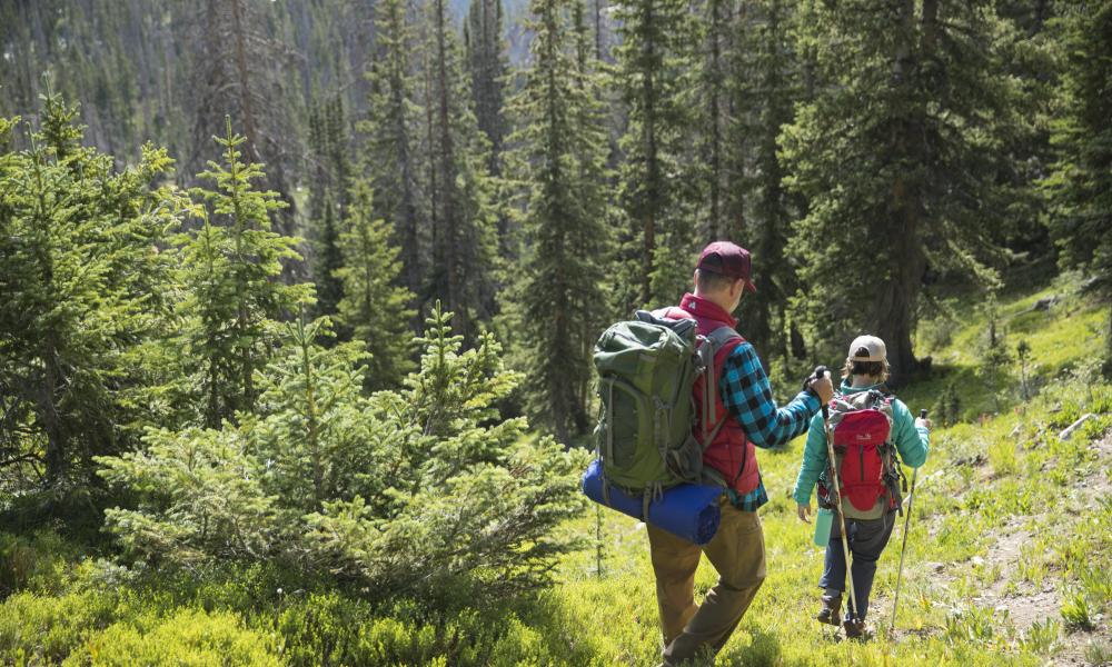 Amazing Health Benefits Of Hiking Once A Week - ebuddynews