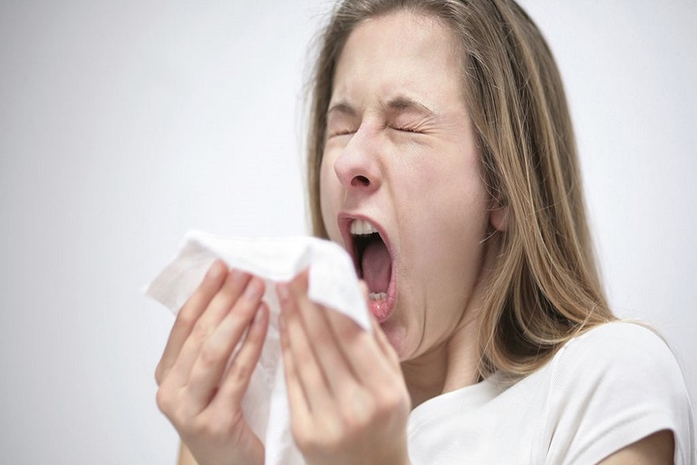 5 Best Herbal Remedies For Allergic Rhinitis - ebuddynews