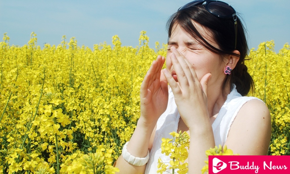5 Best Herbal Remedies For Allergic Rhinitis - ebuddynews