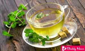 Properties and Health Benefits of Mint Tea You Should Know - ebuddynews