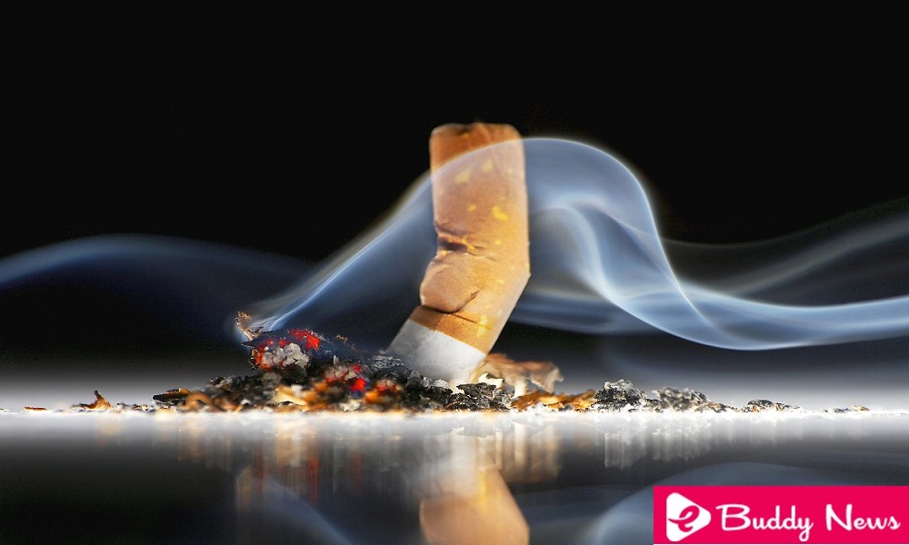 Know The Nasty Effects Of Smoking On Your Body - ebuddynews