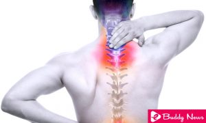 Degenerative Disc Disease : Symptoms, Causes, and Treatment - ebuddynews