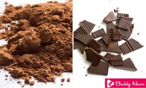 Eating Cocoa and Chocolate Boosts Brain Health - eBuddynews