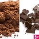 Eating Cocoa and Chocolate Boosts Brain Health - eBuddynews