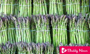 Eating Asparagus Makes Our Urine Smell Bad - eBuddy News