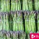 Eating Asparagus Makes Our Urine Smell Bad - eBuddy News