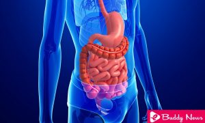 Four Most Common Cancers From Digestive System - eBuddynews