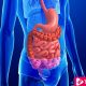 Four Most Common Cancers From Digestive System - eBuddynews