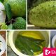Amazing Benefits of SourSop For Weight Loss - eBuddynews