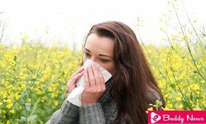 The 5 Best Remedies To Treat Pollen Allergy - ebuddynews