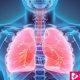 All You Need To Know About Causes and Symptoms of Pulmonary Edema - eBuddy News