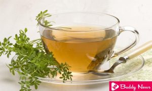 How To Lower The Levels Of Creatinine - eBuddy News