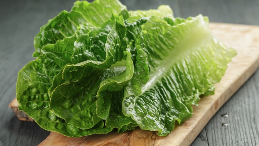 Benefits of Lettuce - eBuddy News