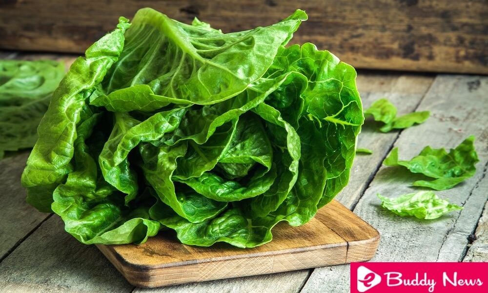 Know The Types, Properties and Benefits of Lettuce - eBuddy News