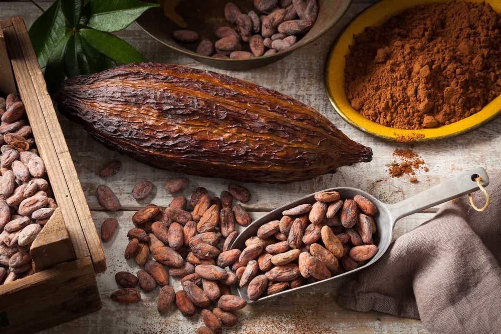 Cocoa Benefits - eBuddy News
