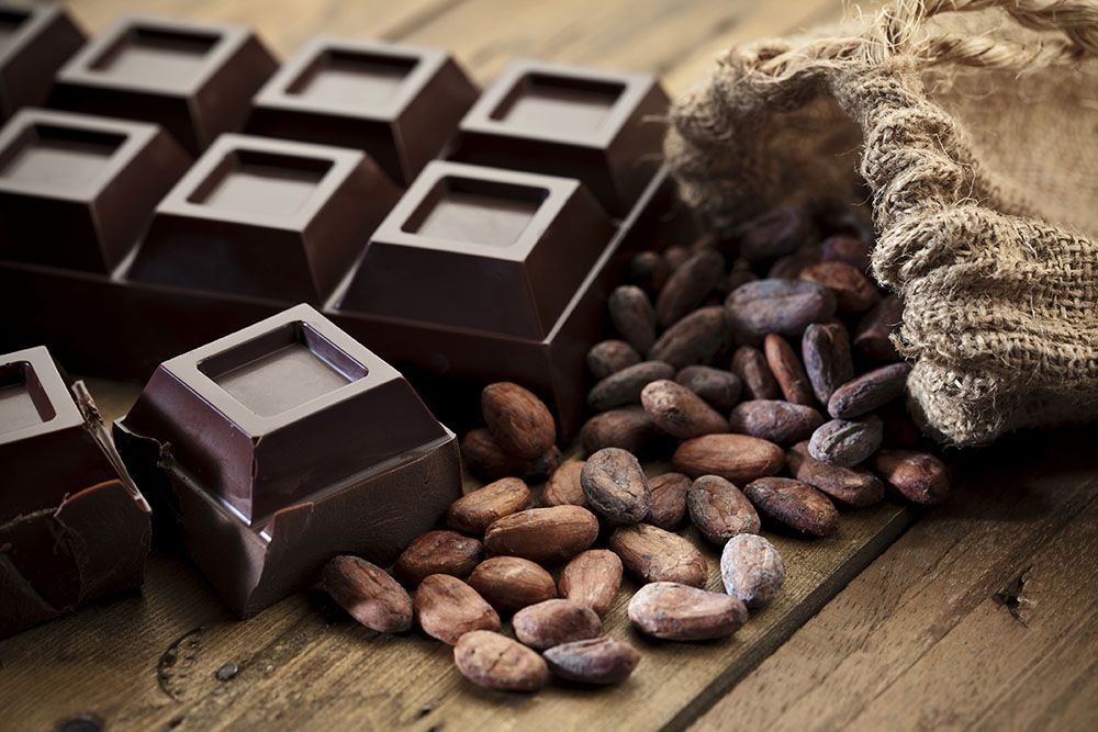 Cocoa and Chocolate - eBuddy News