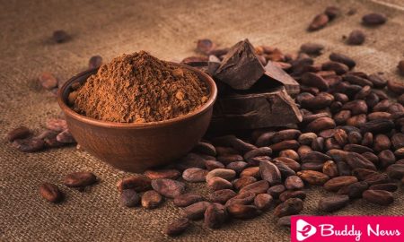 Origin and Impressive Cocoa Benefits - eBuddy News