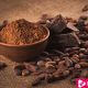 Origin and Impressive Cocoa Benefits - eBuddy News